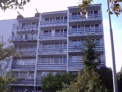 010.JPG